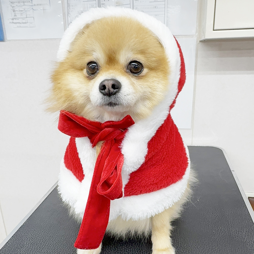 クリスマスイブ♪